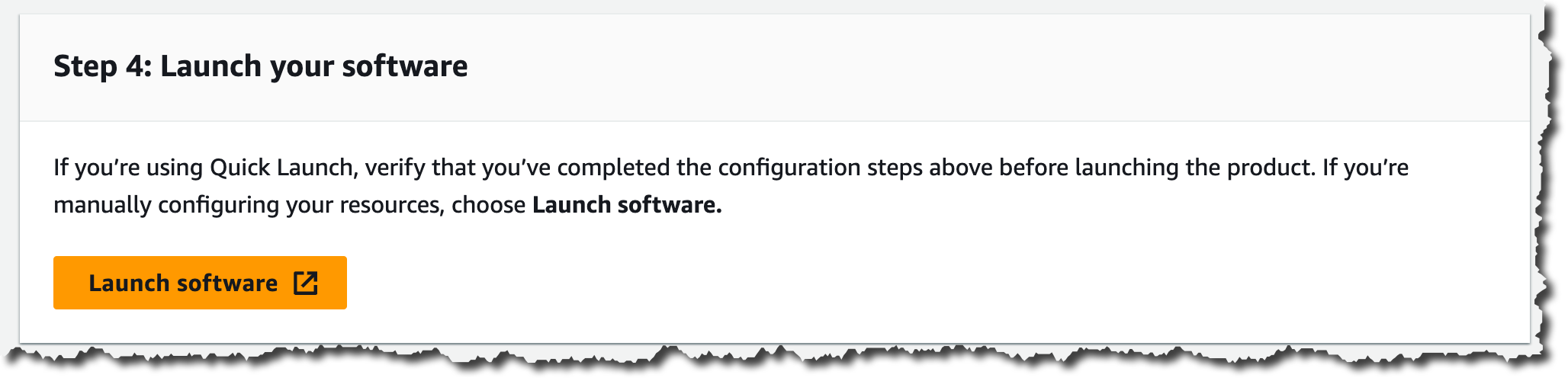 Step 6 - Launch your software