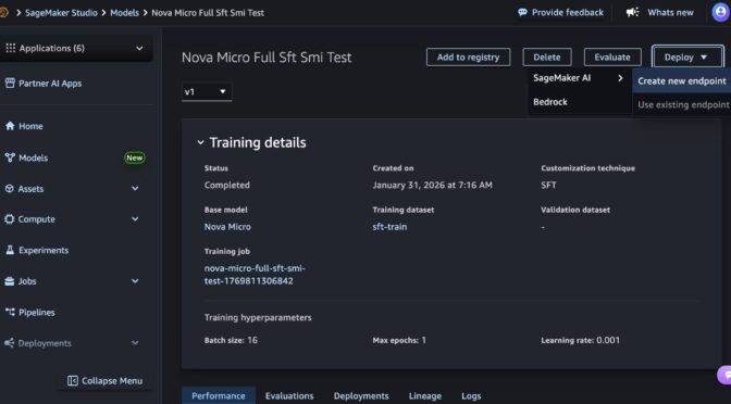 Announcing Amazon SageMaker Inference for custom Amazon Nova models